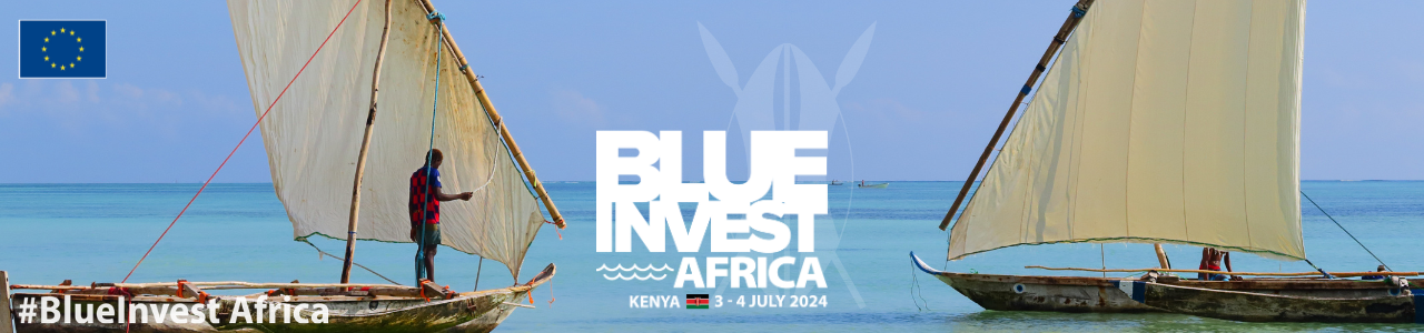 Bia Vc4a Blueinvest Africa
